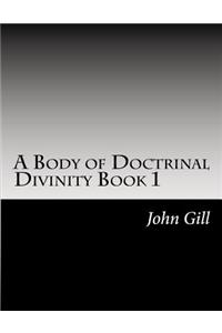 A Body of Doctrinal Divinity Book 1