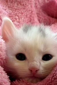 Tiny Little Bitty White and Gray Kitten Cat Journal