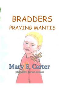 Bradders Praying Mantis