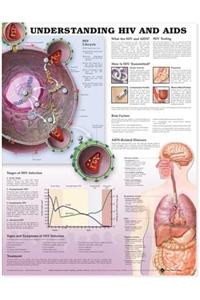 Understanding HIV and AIDS Anatomical Chart in Spanish (Entendiendo Que Son el VIH y el SIDA)