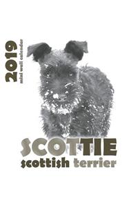 Scottie 2019 Mini Wall Calendar
