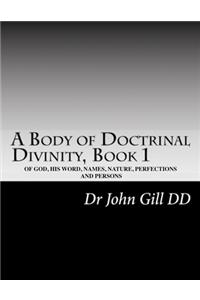 A Body Of Doctrinal Divinity, Book I