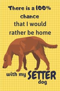 There is a 100% chance that I would rather be home with my Setter Dog