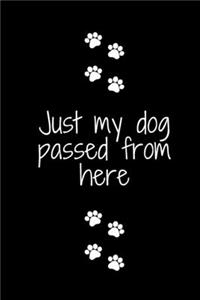 Just my dog passed from here