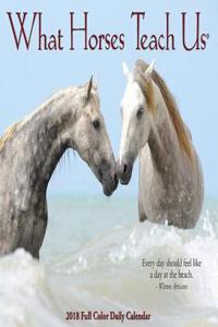 What Horses Teach Us 2018 Box Calendar
