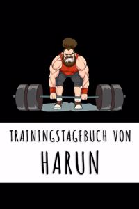 Trainingstagebuch von Harun
