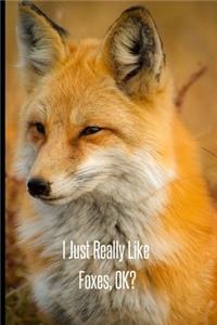 I Just Really Like Foxes, OK?