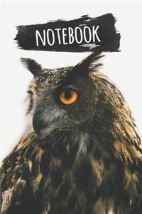 Owl Notebook