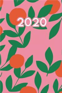 2020