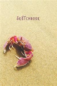 Sketchbook