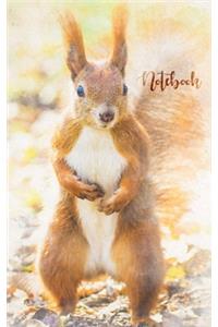 Cute squirrel notebook to write in, 120 pages lined 5