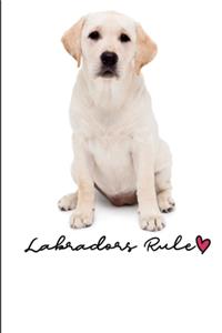 Labradors Rule