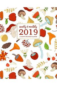 Weekly & Monthly 2019 12-Month Splendid Planner