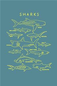 Sharks