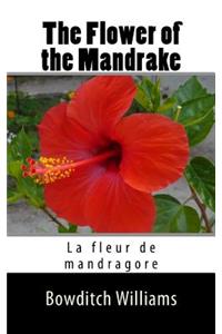 Flower of the Mandrake