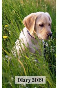 Diary 2019: Golden Labrador Puppy, 5 X 8 372 Paged Diary/Planner, Day/Times/Notes on Every Page