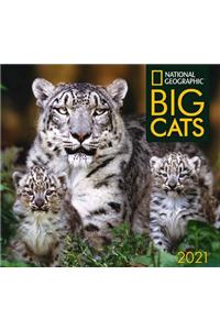 Cal 2021- National Geographic Big Cats Wall