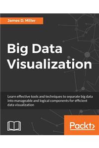 Big Data Visualization