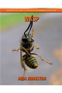 Wasp: Amazing Pictures & Fun Facts on Animals in Nature