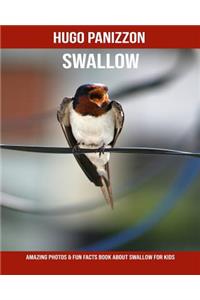Swallow: Amazing Photos & Fun Facts Book about Swallow for Kids