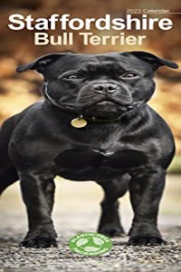 Staffordshire Bull Terrier 2023 Slim Calendar