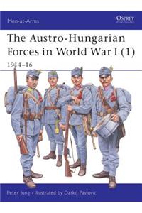 Austro-Hungarian Forces in World War I (1)
