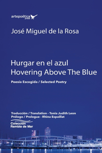 Hurgar en el azul / Hovering Above The Blue