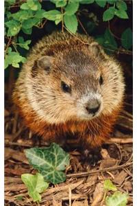 Serious Groundhog Lined Notebook