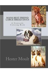 Mans Best Friend