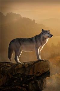 Lone Wolf at Sunset Journal