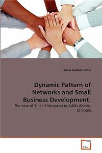 Dynamic Pattern of Networks and Small Business Development
