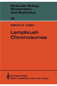 Lampbrush Chromosomes