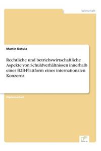 Rechtliche und betriebswirtschaftliche Aspekte von Schuldverhältnissen innerhalb einer B2B-Plattform eines internationalen Konzerns