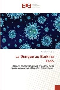 Dengue au Burkina Faso