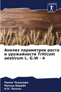 Анализ параметров роста и урожайности Triticum aestivum L.