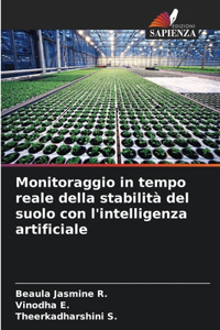 Monitoraggio in tempo reale della stabilità del suolo con l'intelligenza artificiale