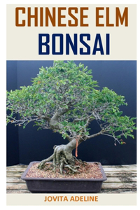 Chinese ELM Bonsai