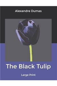 The Black Tulip