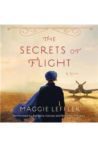 The Secrets of Flight