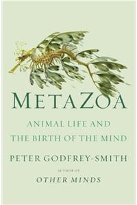 Metazoa