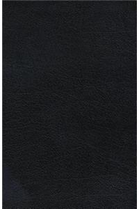 Life Principles Bible