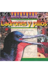 Ladrones y Pillos
