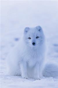 Snow Dog Notebook