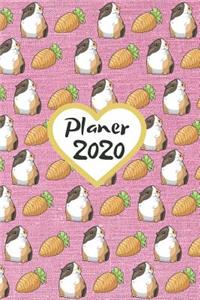 Planer 2020
