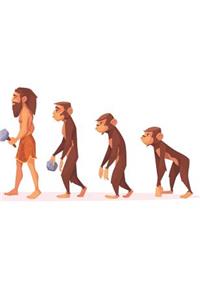 Human Evolution Blank Lined Notebook