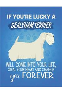 If You're Lucky A Sealyham Will Come Into Your Life, Steal Your Heart And Change You Forever