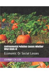Environmental Pollution Causes Whether What Kinds Of