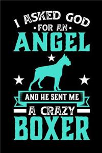 I Asked God for an Angel and He Sent Me a Crazy Boxer