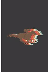 Horse Riding Vintage