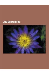 Ammonites: Ammonite, List of Ammonites, Ammolite, Ancyloceratina, Hamites, Polyptychoceras, Medlicottiidae, Ammonitina, Ceratitac